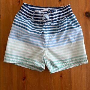 Rugged Butts Toddler Striped Swim Trunks